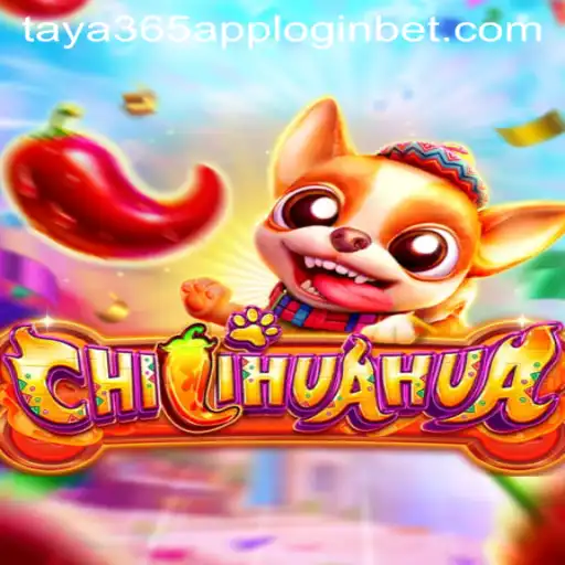 Unleashing the Fun in CHILIHUAHUA